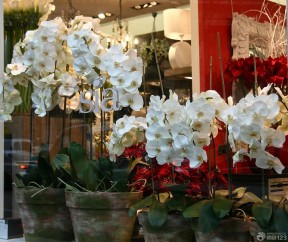 传统花店橱窗设计效果图花卉盆景图片