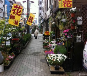 同城花店 花店花架