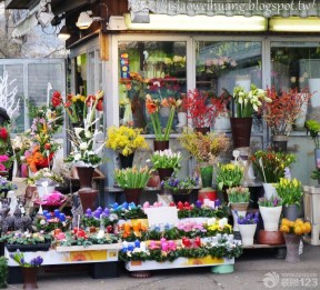 同城花店 花架图片