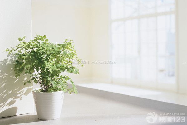 新房装修如何除甲醛