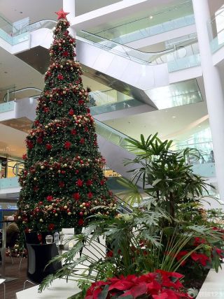 现代风格圣诞节商场布置图片