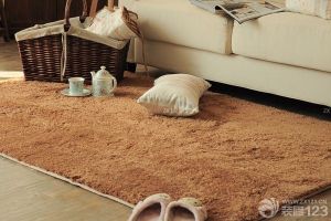 地毯清洁方法