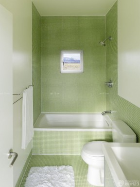 60平方二居室小户型装修效果图 绿色墙面装修效果图片