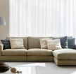 现代简单客厅沙发装修图