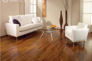 木地板清洁方法，让居室地面焕然如新
