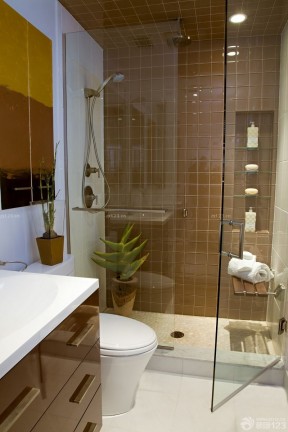 卫生间淋浴隔断 小卫生间设计
