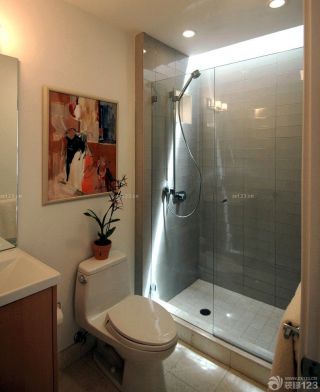 温馨小户型卫生间淋浴隔断装修效果图片