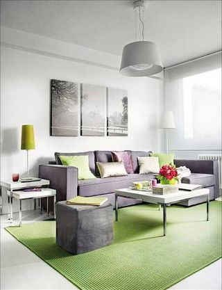 现代简约小户型客厅地毯装饰