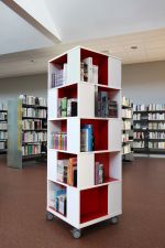 图书馆室内书柜设计效果图大全