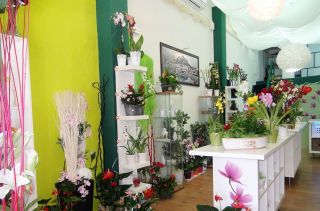 鲜花店室内花架设计效果图片