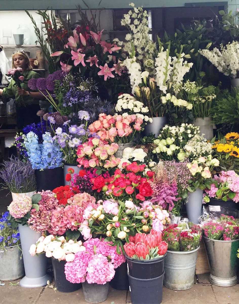 花店常用鲜花品种图片