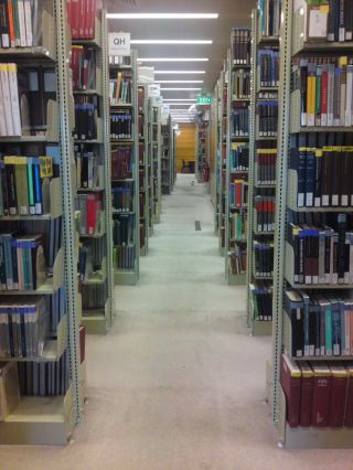 大型图书馆书架的样式效果图片