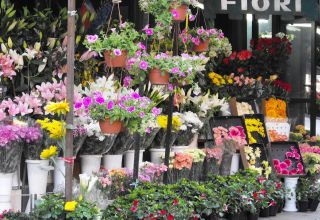 花店店面装修图片