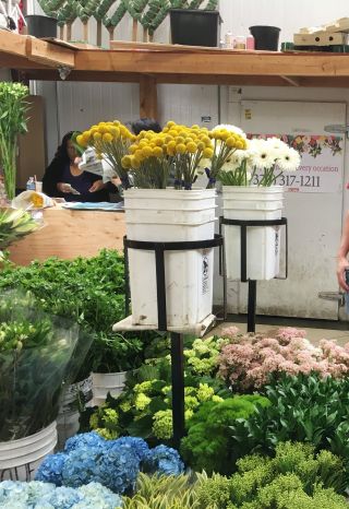 高档小型花店装修效果图片