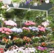 大型盆栽花店装修效果图图片