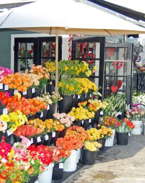 花店花架