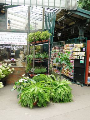 花店花架