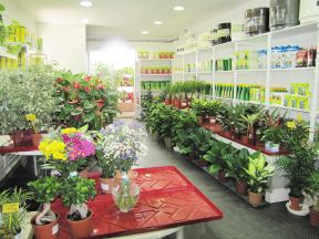 花店装修风格图片