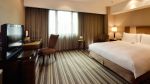宾馆单间室内地毯装修效果图片2023