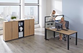 简单办公室装修图 实木地板贴图