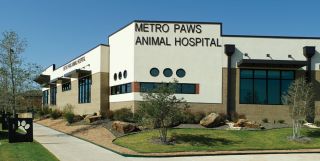  动物医院外观装修设计效果图片