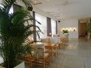 现代中式小型茶餐厅盆栽植物效果图片