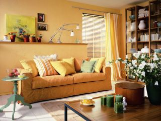 温馨小户型客厅沙发颜色装修效果图片