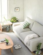 小户型日式客厅双人沙发装修效果图片