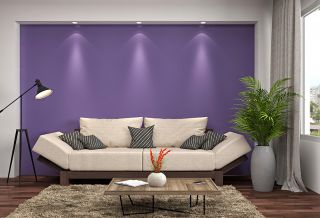 现代简约小户型客厅紫色墙面装修效果图片