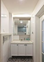 家装小户型洗手间设计效果图片