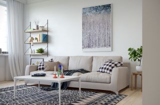 小户型客厅沙发设计摆放效果图片