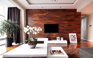 小户型简约家装客厅电视背景墙设计图
