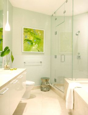 超小户型卫生间 绿色墙面装修效果图片