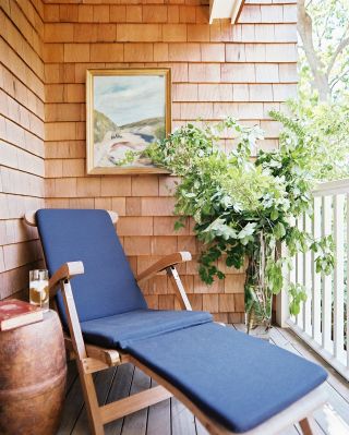 客厅阳台休闲区盆栽植物图片