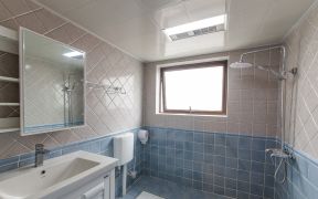 最新家庭小卫生间装修设计效果图片欣赏