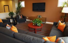 小户型现代客厅设计褐色墙面装修效果图片
