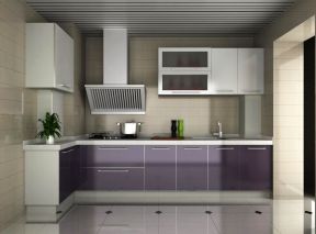 小面积厨房橱柜 紫色橱柜装修效果图片