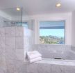 现代家庭浴室白色浴缸装修效果图片