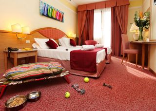 家庭房间红色地毯设计装修图片