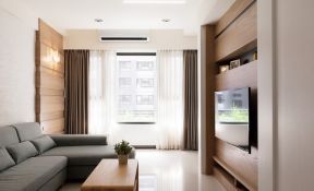 小户型新房客厅 纯色窗帘装修效果图片