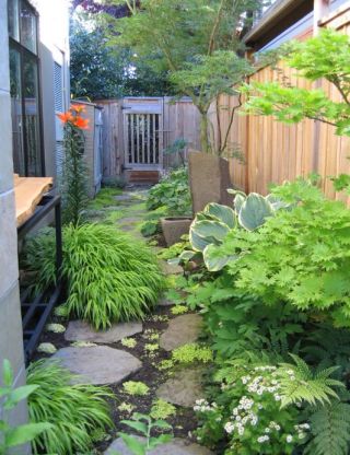 别墅花园盆栽植物设计实景图片