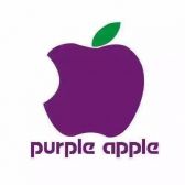 西安紫苹果装饰