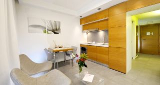 单身公寓小厨房设计设计图片