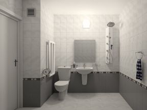 小卫生间效果图 灰色瓷砖贴图