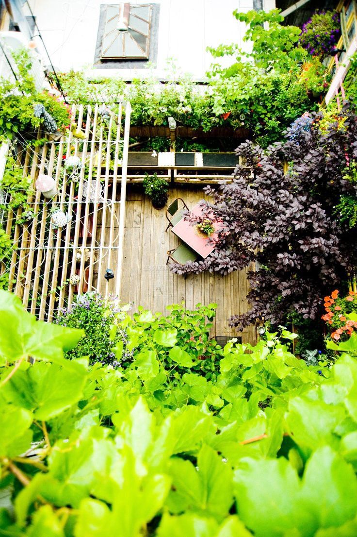 别墅屋顶花园绿色植物效果图