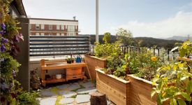 阳台花园改造方法 阳台如何打造温馨小花园