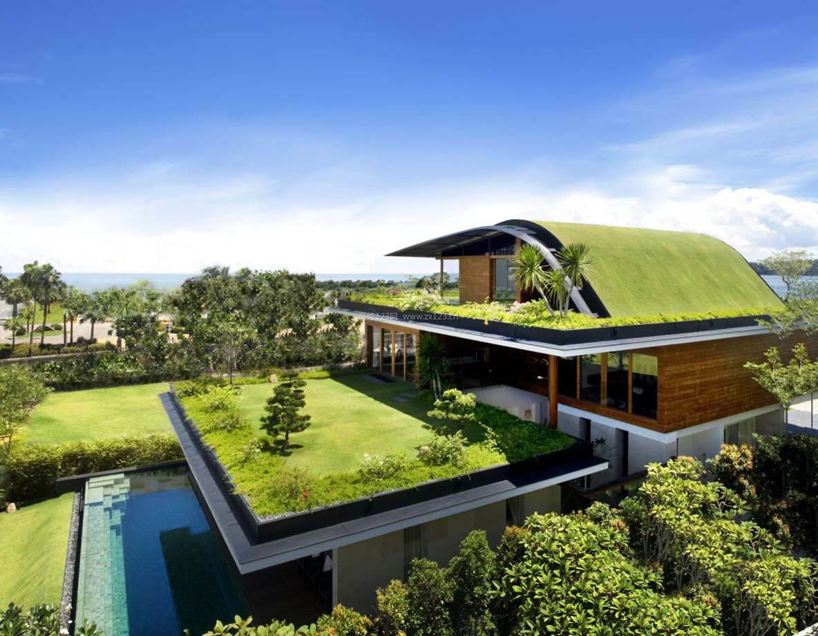 别墅屋顶花园草坪绿化平面效果图