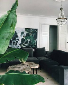 2023欧式风格公寓家居室内绿色沙发图片