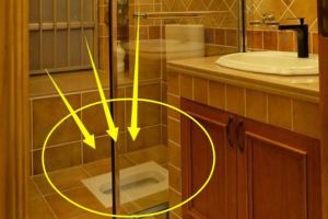 小户型卫生间装修是在淋浴房装蹲便器可以吗？