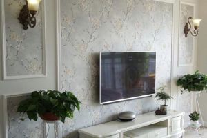 客厅壁画电视背景墙怎么装修